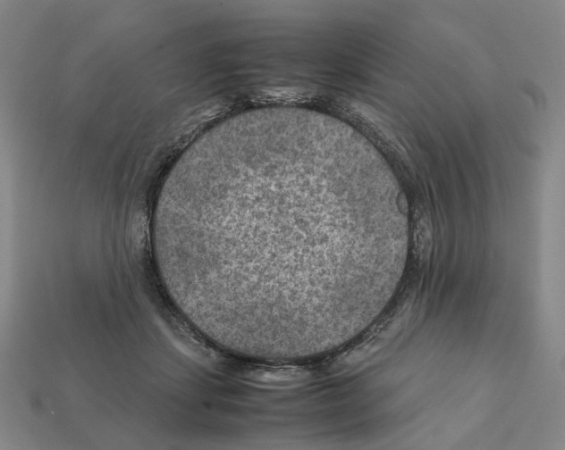 X0000111900459200909071139