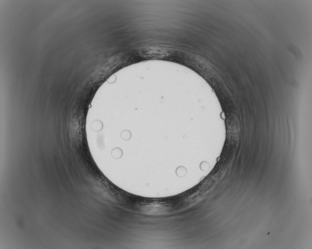 X0000111900460200909071139