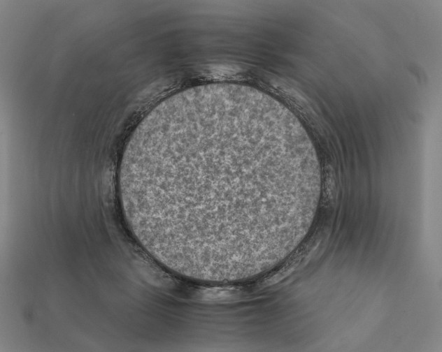 X0000111900461200909071139