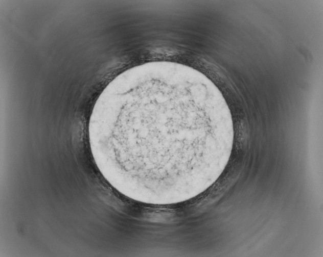 X0000111900463200909071139