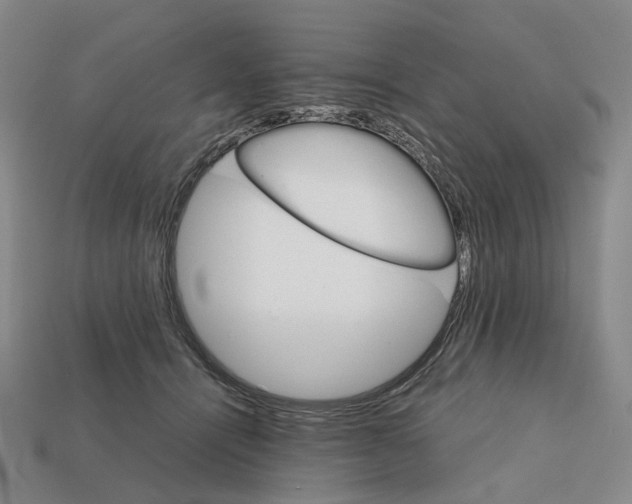 X0000111900464200909071139