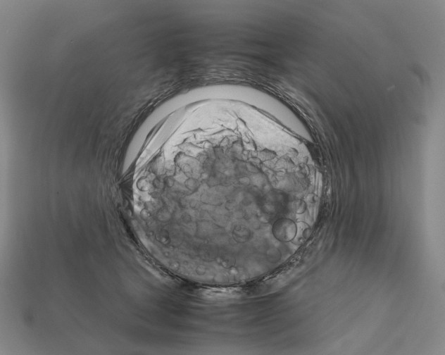 X0000111900465200909071139