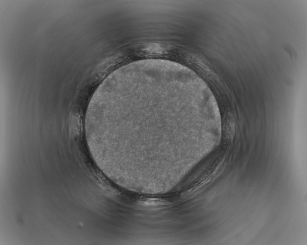 X0000111900467200909071139