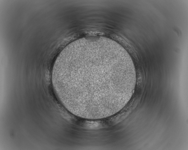 X0000111900469200909071139