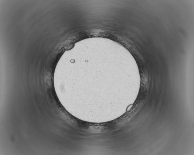 X0000111900470200909071139