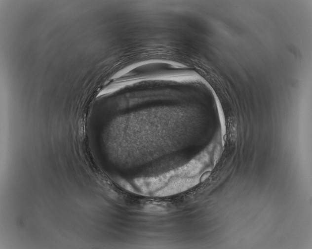 X0000111900471200909071139