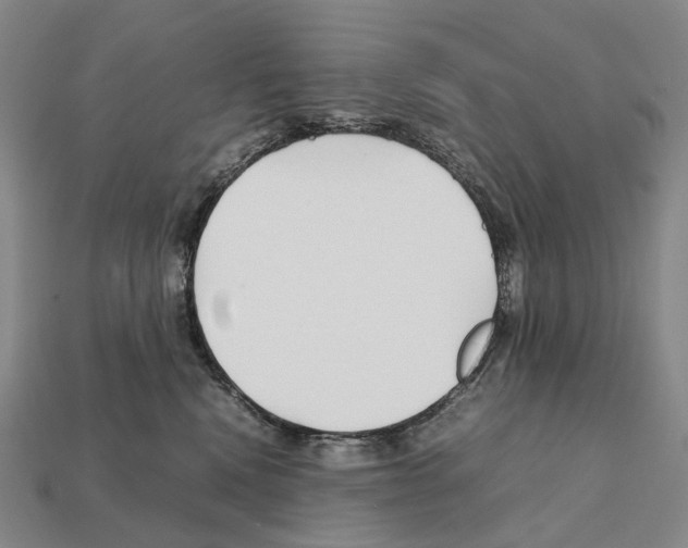 X0000111900472200909071139