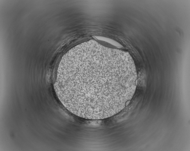 X0000111900474200909071139