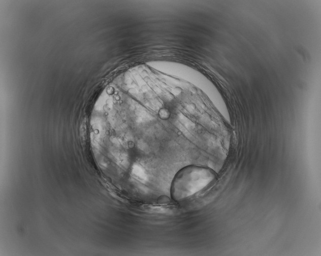 X0000111900475200909071139