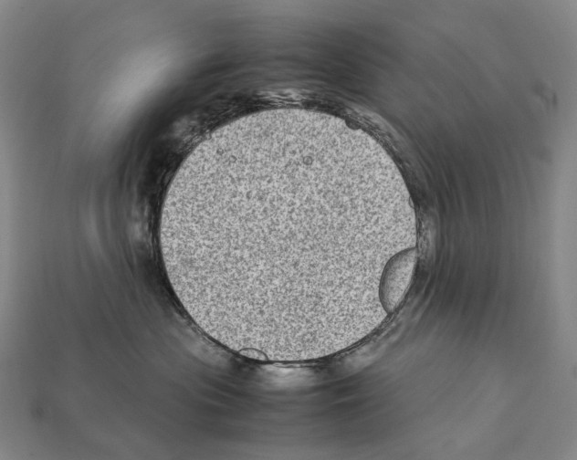 X0000111900477200909071139