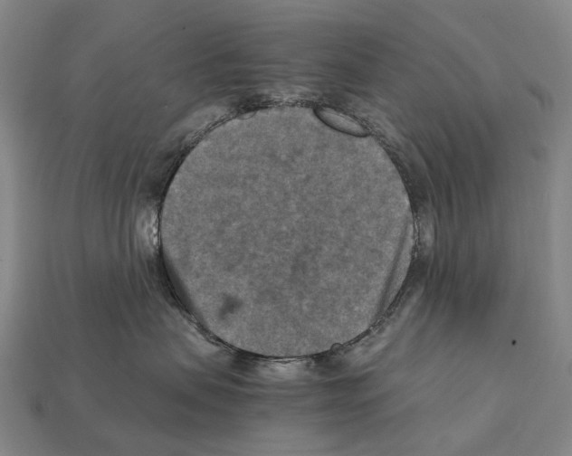 X0000111900479200909071139