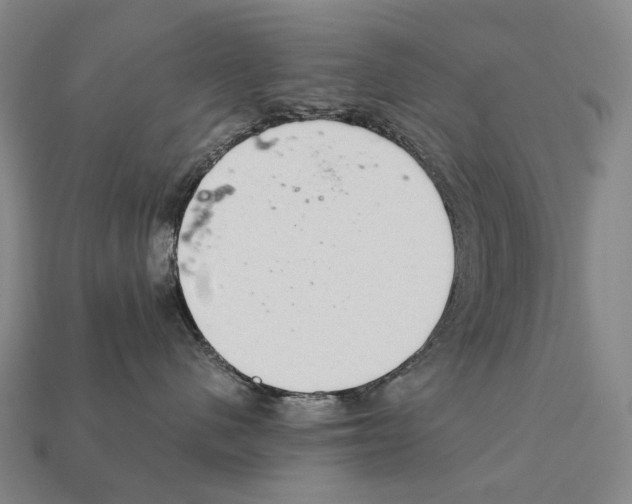 X0000111900480200909071139