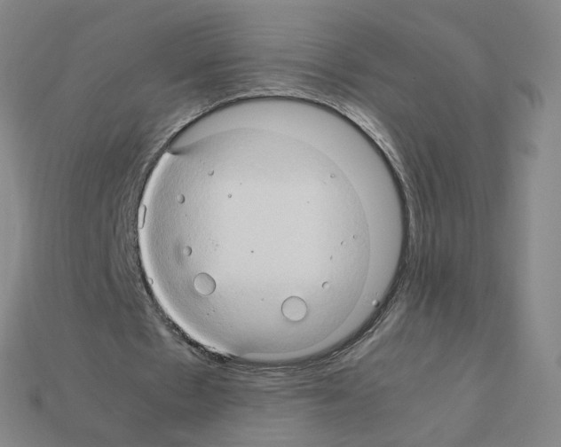 X0000111900481200909071139