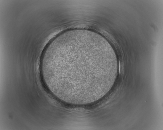 X0000111900483200909071139