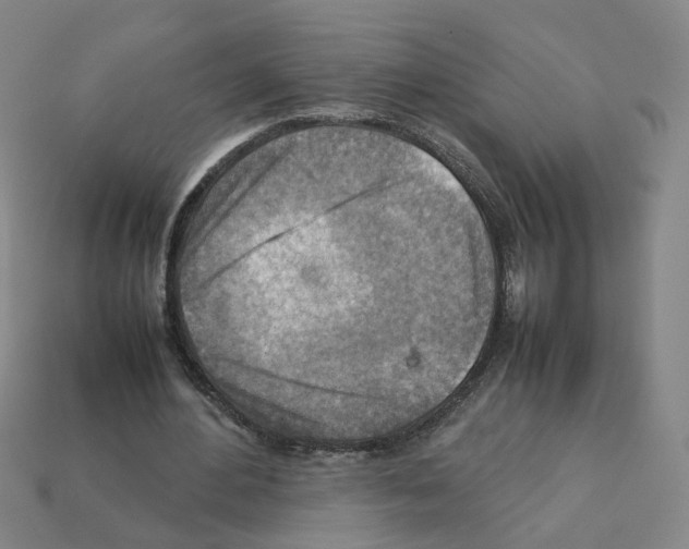 X0000111900484200909071139