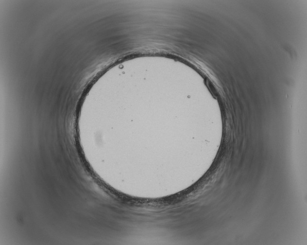 X0000111900485200909071139