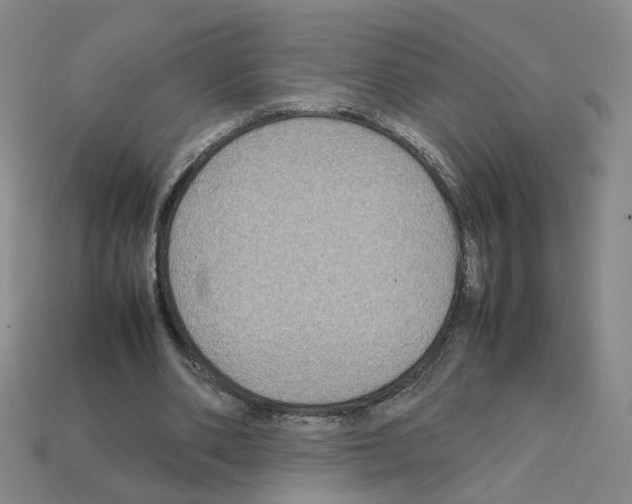 X0000111900486200909071139