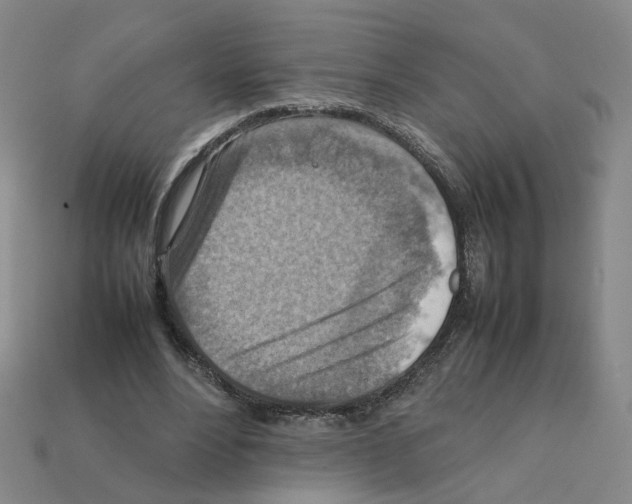 X0000111900488200909071139