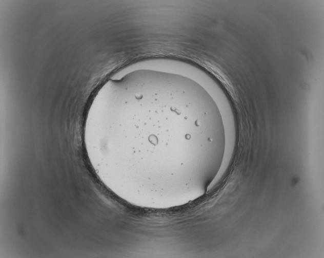 X0000111900489200909071139