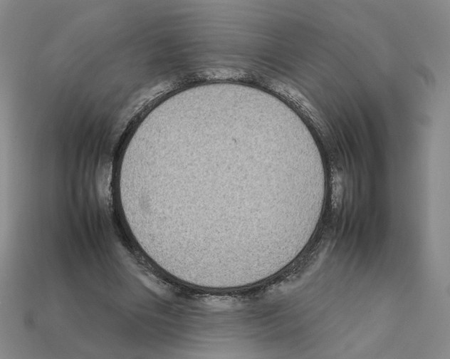 X0000111900490200909071139