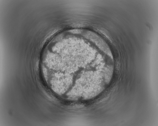 X0000111900491200909071139