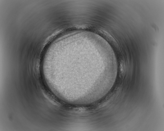 X0000111900492200909071139