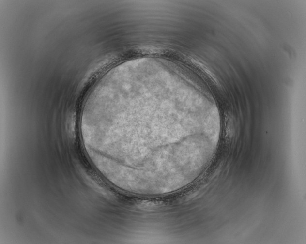 X0000111900494200909071139