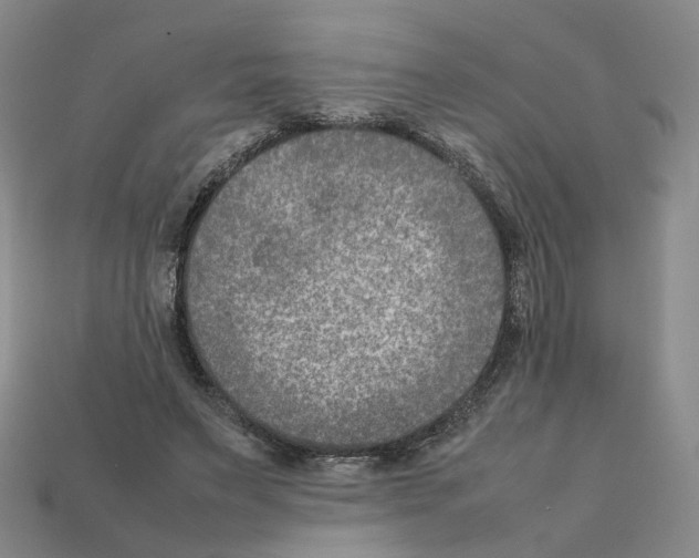 X0000111900495200909071139