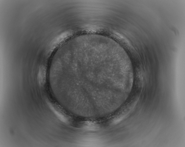 X0000111900496200909071139