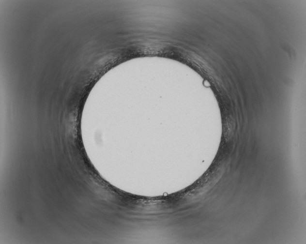 X0000111900497200909071139