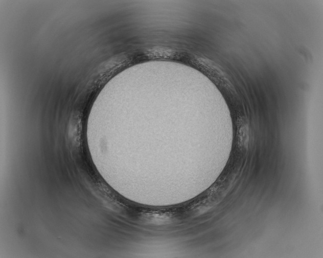 X0000111900498200909071139