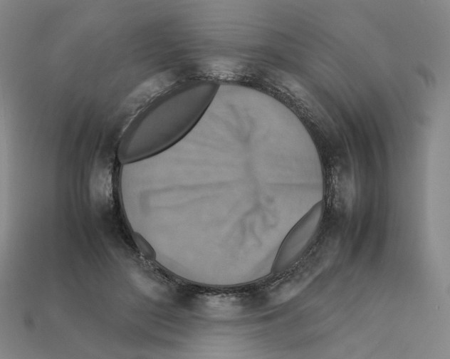 X0000111900500200909071139