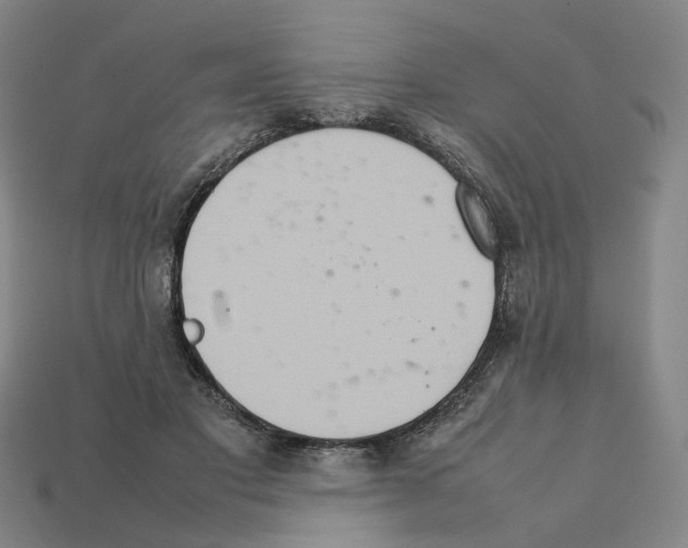 X0000111900501200909071139