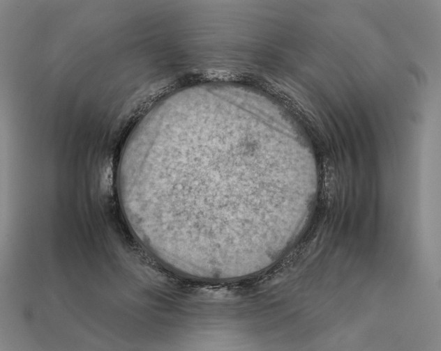 X0000111900502200909071139