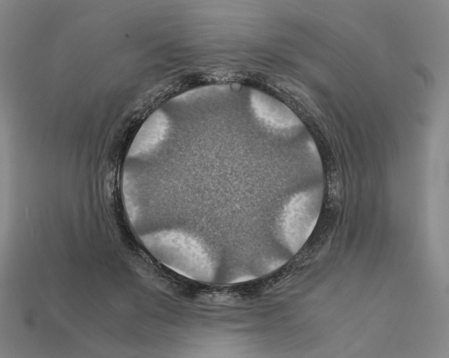 X0000111900503200909071139