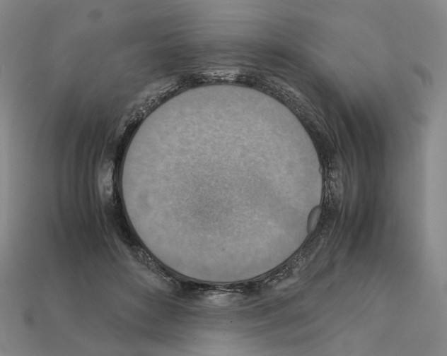 X0000111900504200909071138