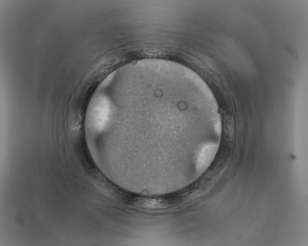 X0000111900507200909071138