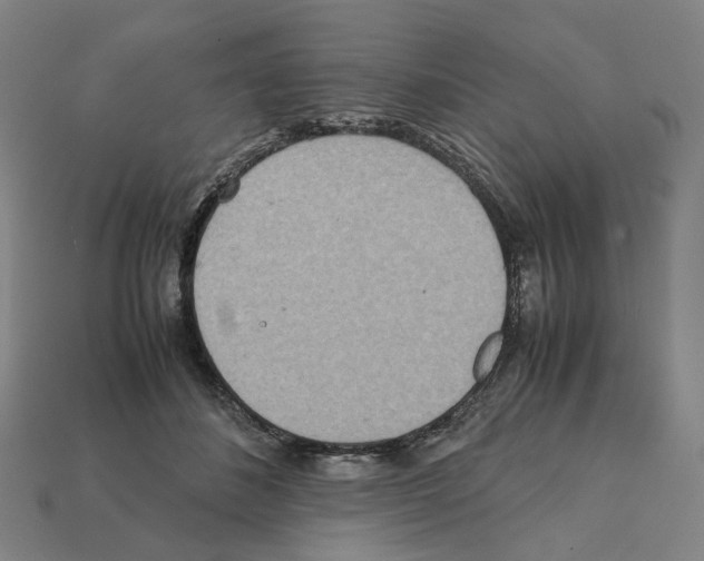 X0000111900508200909071138