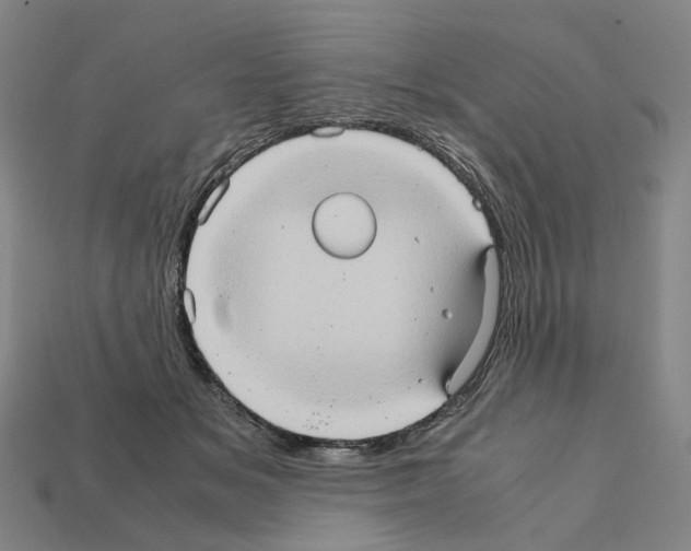 X0000111900509200909071138