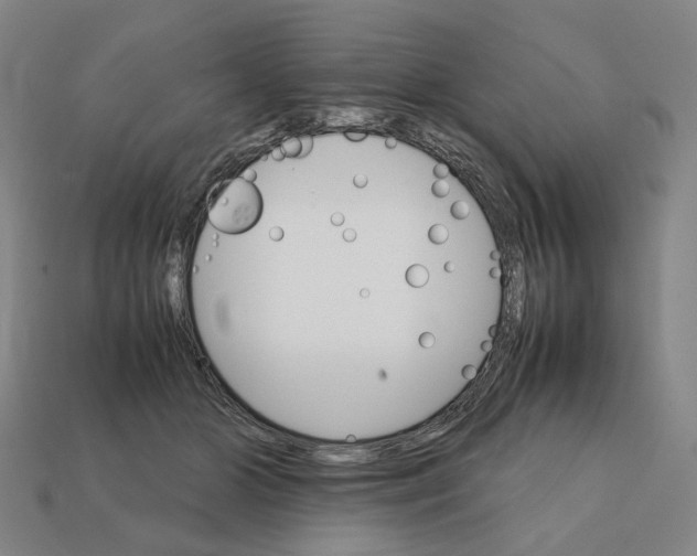 X0000111900510200909071138