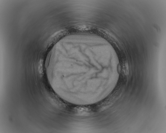 X0000111900512200909071138