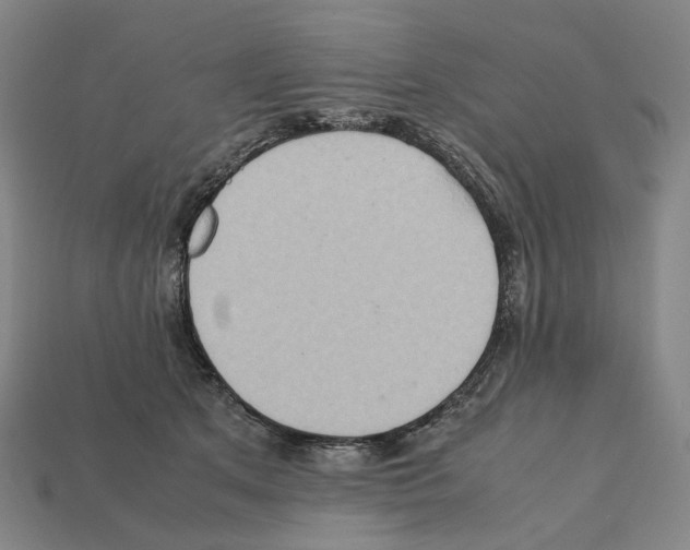 X0000111900513200909071138