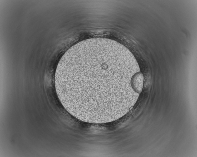 X0000111900515200909071138