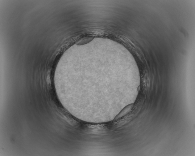 X0000111900516200909071138