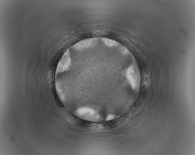 X0000111900519200909071138