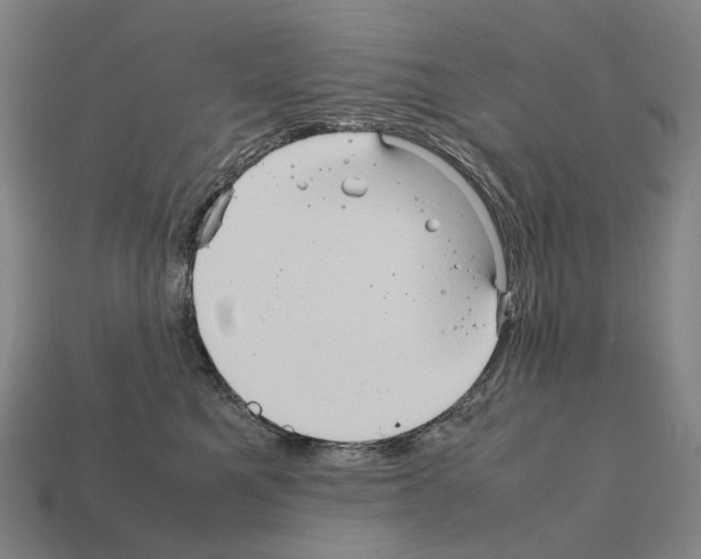 X0000111900521200909071138