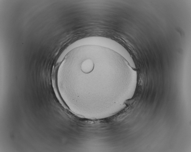 X0000111900524200909071138