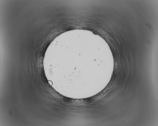 X0000111900525200909071138