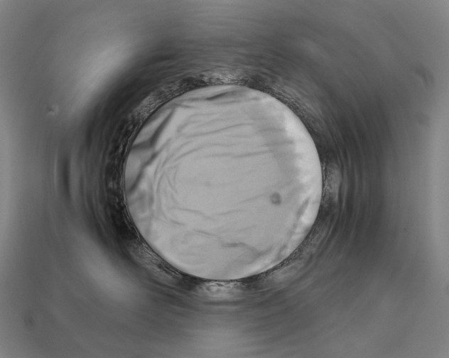 X0000111900526200909071138