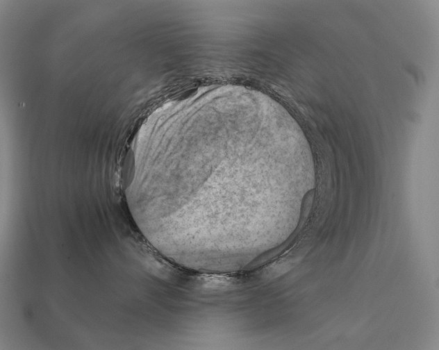 X0000111900528200909071138